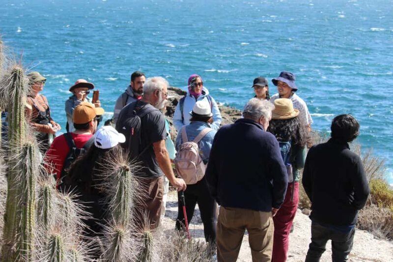 Caleta Los Hornos: Hiking archaeological sites - An In-Depth Review of Caleta Los Hornos Archaeological Hike