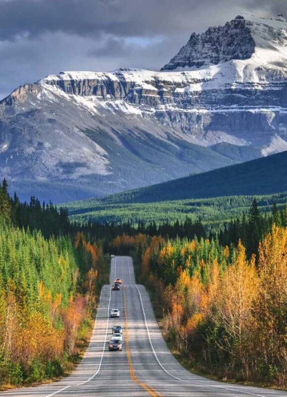 Calgary: Banff, Lake Louise & Canmore SUV Tour - The Guides: Knowledge and Local Insights