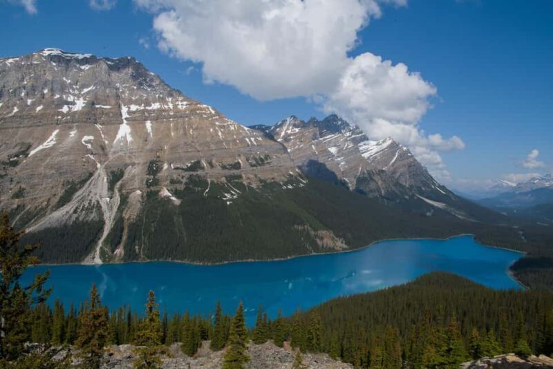 Calgary/Canmore/Banff: Columbia Icefield Glacier Day Tour - Authentic Experiences and Real Traveler Feedback