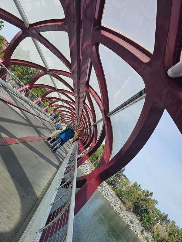 Calgary City Tour & Yamnuska Wolfdog Sanctuary Private Tour - Who Should Consider This Tour?