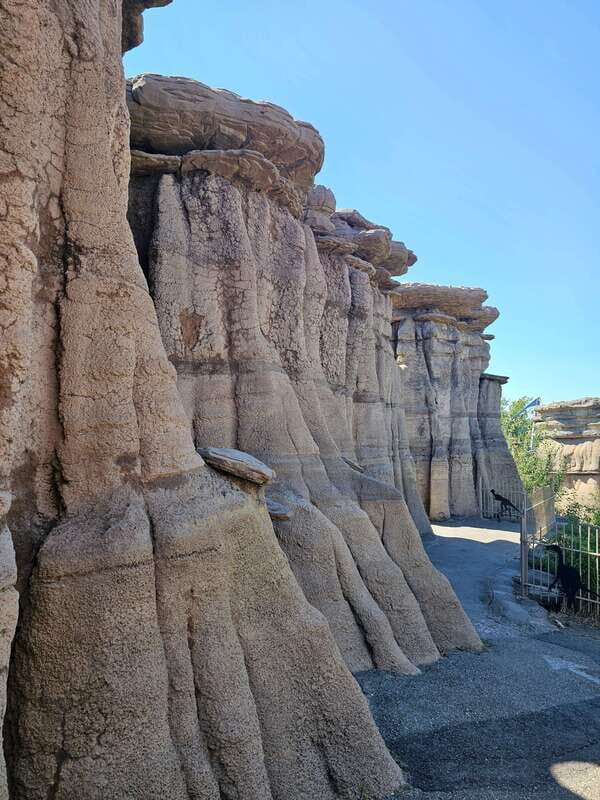 Calgary City Tour & Yamnuska Wolfdog Sanctuary Private Tour - Frequently Asked Questions