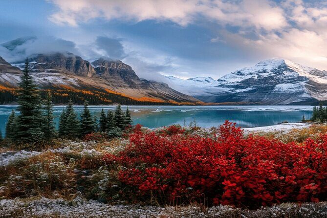 Calgary: Columbia Icefield Adventure, Skywalk and Peyto Lake Tour - Authentic Experiences: What Travelers Say