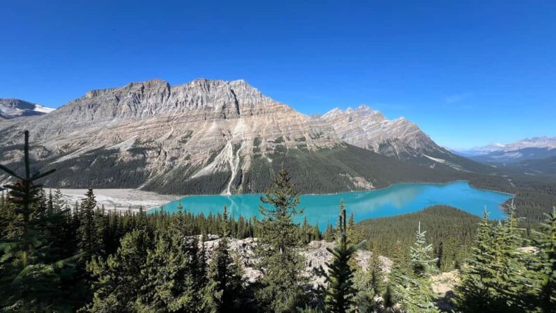 Calgary: Columbia Icefield & Bow Lake & Peyto Lake - Exploring the Itinerary in Detail