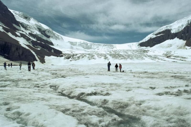 Calgary: Columbia Icefield & Skywalk, Peyto, Bow & Glaciers - Who Will Love This Tour?
