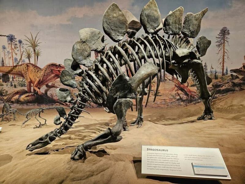 Calgary: Guided Drumheller Small Group Tour Museum, Hoodoos - Who Will Love This Tour?