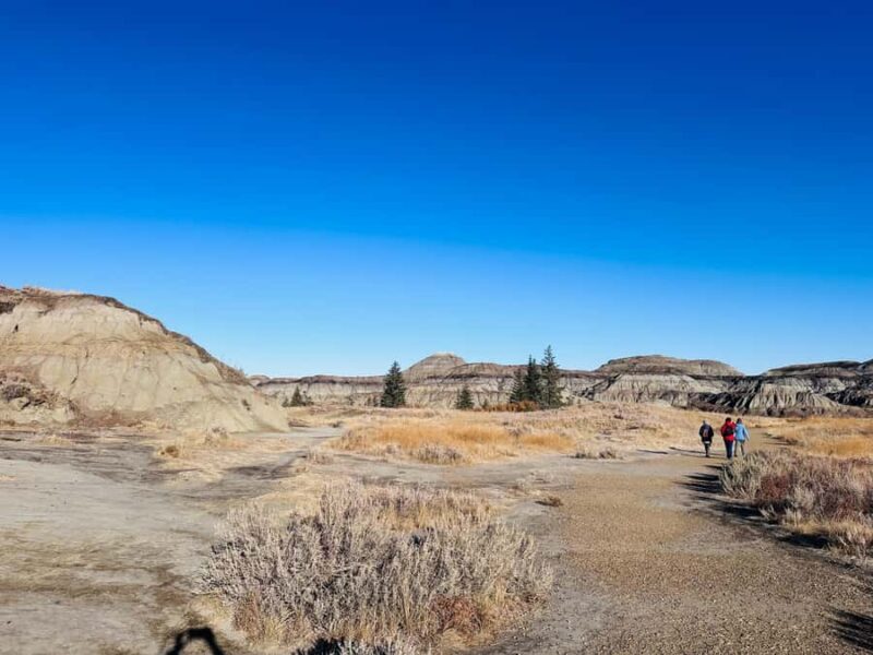 Calgary: Guided Drumheller Small Group Tour Museum, Hoodoos - The Sum Up