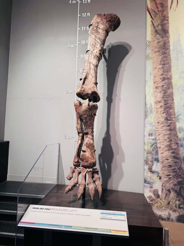 Calgary: Guided Drumheller Small Group Tour Museum, Hoodoos - FAQs