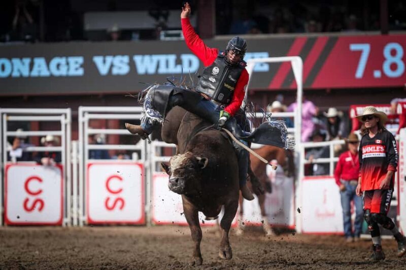 Calgary Stampede Afternoon Rodeo - Key Points