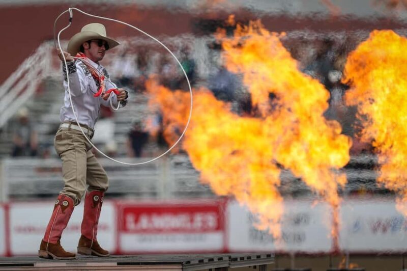Calgary Stampede Afternoon Rodeo - What to Expect at the Calgary Stampede Afternoon Rodeo