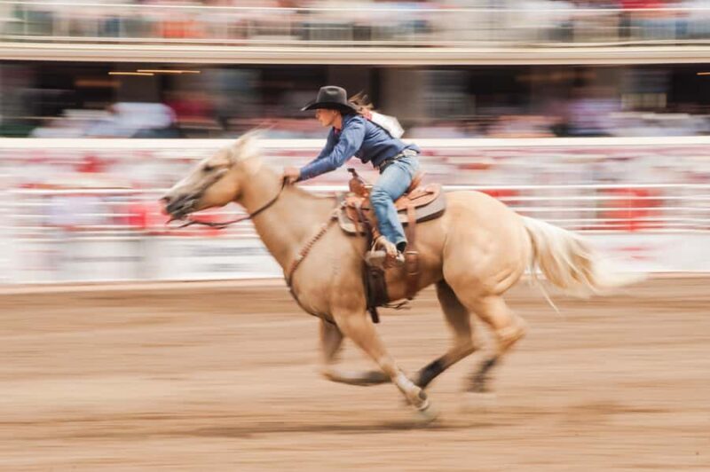 Calgary Stampede Afternoon Rodeo - Authenticity and Cultural Significance