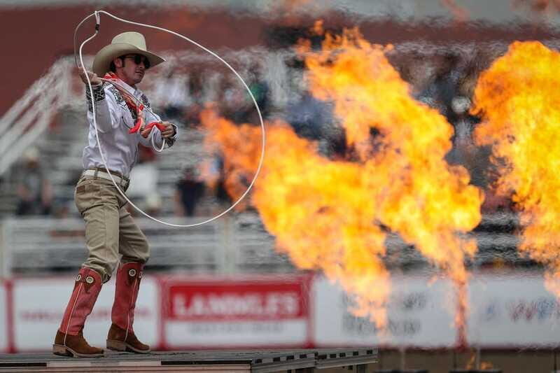 Calgary Stampede Afternoon Rodeo - Who Will Love This Experience?