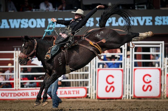 Calgary Stampede Afternoon Rodeo - FAQ