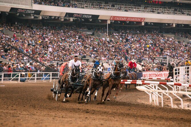 Calgary Stampede Evening Show - A Deep Dive into the Calgary Stampede Evening Show