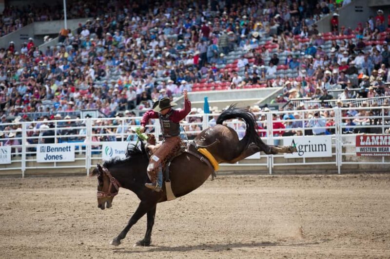 Calgary Stampede: Two Day Thrill Package - Key Points