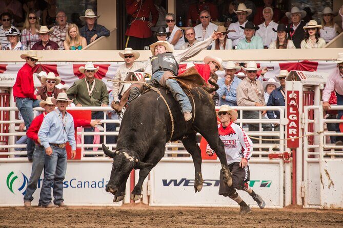 Calgary Stampede Two Day Thrill Package - An In-Depth Look at the Calgary Stampede Two Day Thrill Package