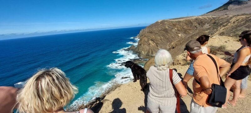 Calheta: Southwest Coastline Van tour - Deep Dive into the Experience