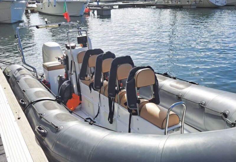 Calheta: Whale & dolphin watching small groups designer tour - Why This Tour Stands Out