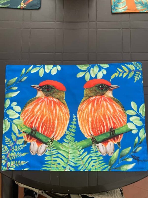 Cali: Bird Watching in The San Antonio Fog Forest - The Sum Up