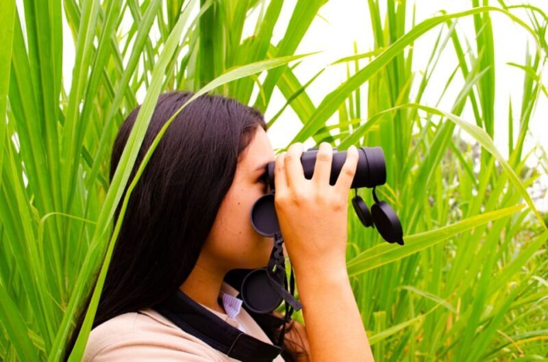 Cali: Birdwatching in la Cumbre - Key Points