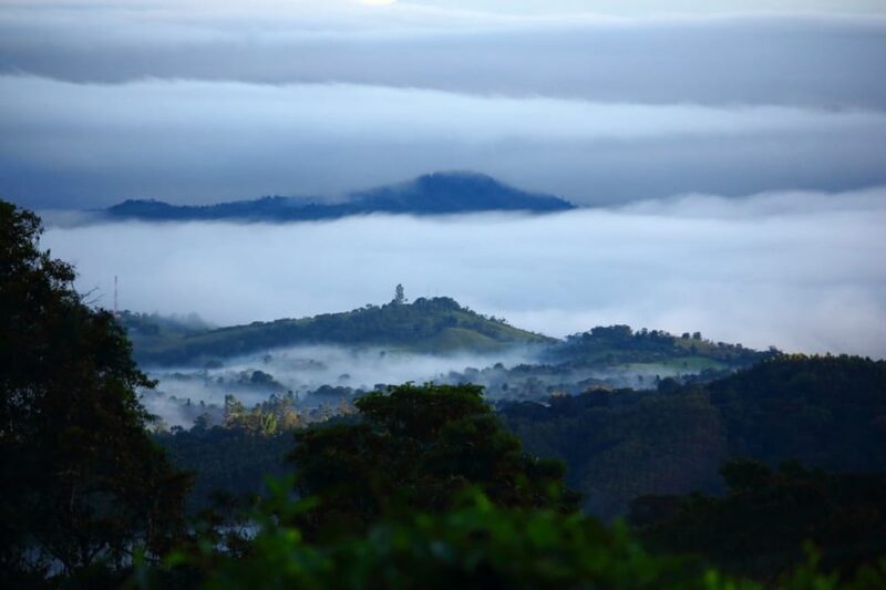 Cali: Birdwatching in la Cumbre - FAQ