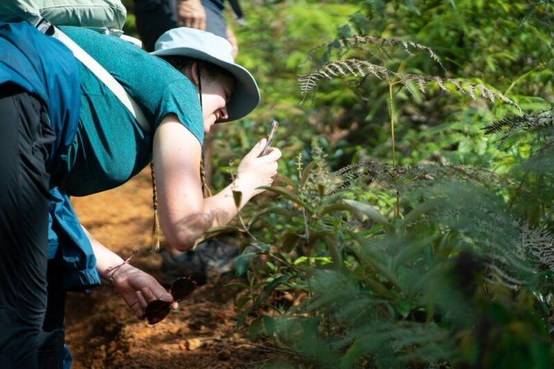 Cali: Hiking to the Pance waterfalls - FAQs