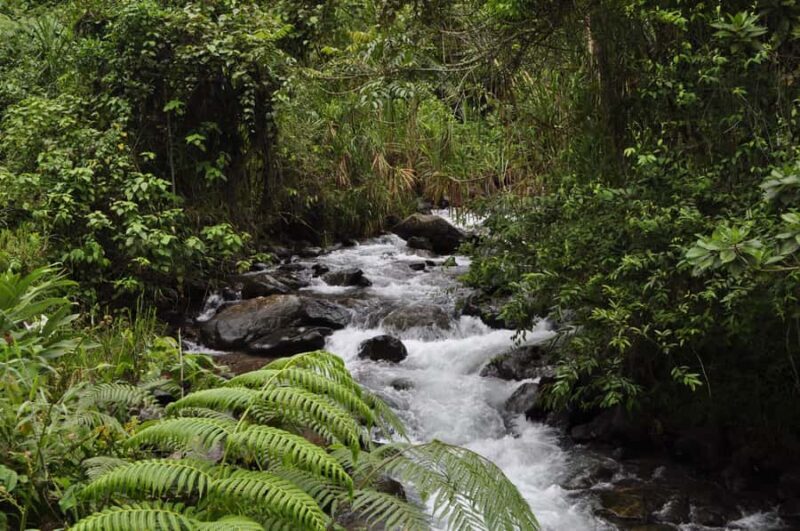 Cali: Jepp, Wala. food sovereignty, coffee tasting, river - Key Points