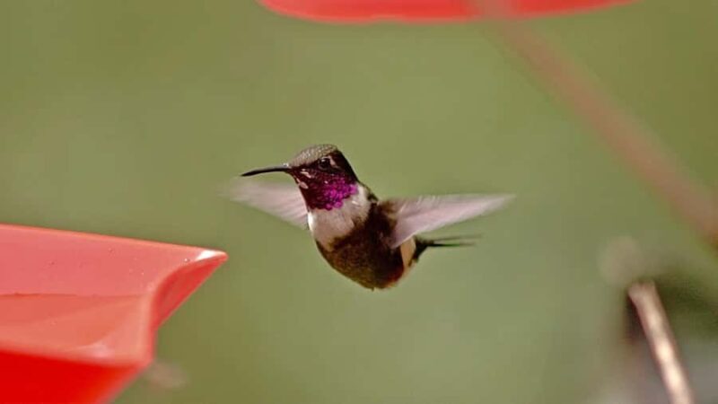 Cali: Jepp, Wala. food sovereignty, coffee tasting, river - Who Is This Tour Best For?