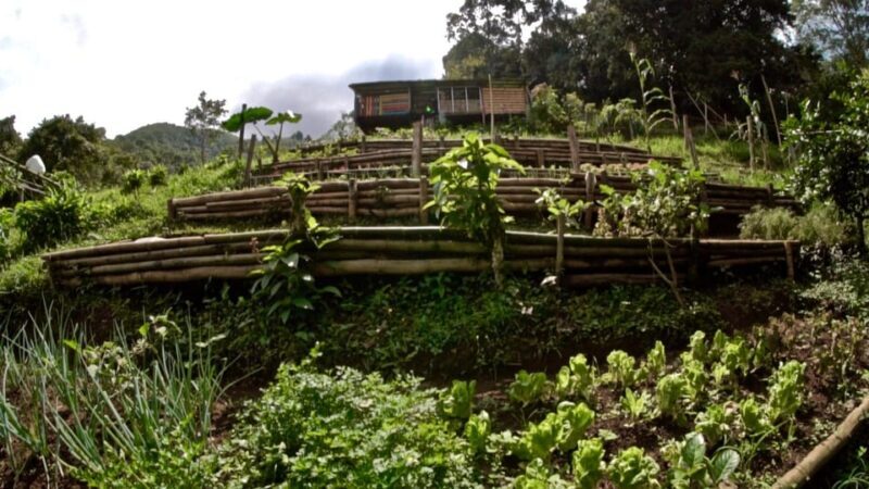 Cali: Jepp, Wala. food sovereignty, coffee tasting, river - The Sum Up