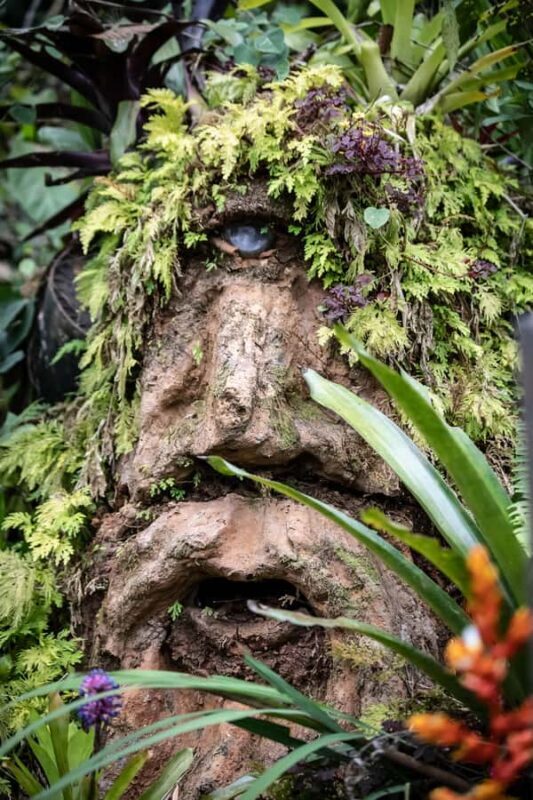 Cali: Jepp, Wala. nature in magic, organic gardens, birds - FAQ