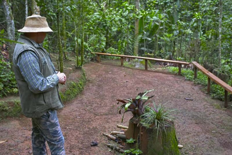 Cali: Jepp, Wala. nature in magic, organic gardens, birds - Final Thoughts