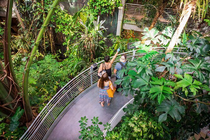 California Academy of Sciences General Admission Ticket - The Practicalities: What to Expect