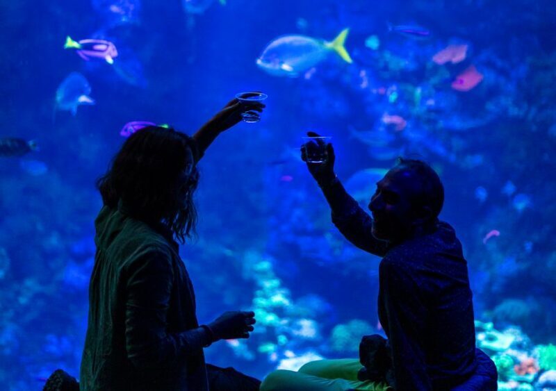 California Academy of Sciences NightLife Plus Admission - Key Points