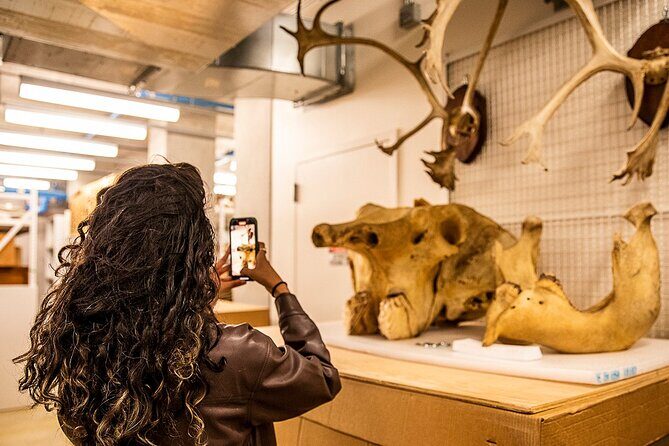 California Academy of Sciences NightLife Plus Admission Ticket - Experience San Francisco’s California Academy of Sciences NightLife Plus