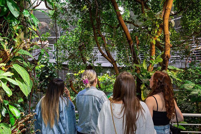 California Academy of Sciences NightLife Plus Admission Ticket - Key Points