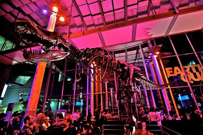 California Academy of Sciences NightLife Plus Admission Ticket - Final Thoughts: Is It Worth It?