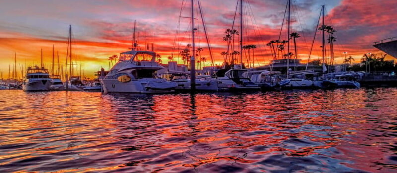 California Coastline Scenic Wildlife Photography Tour - California Coastline Scenic Wildlife Photography Tour