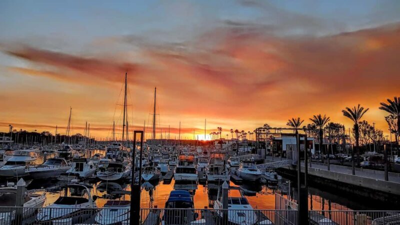 California Coastline Scenic Wildlife Photography Tour - What Others Say