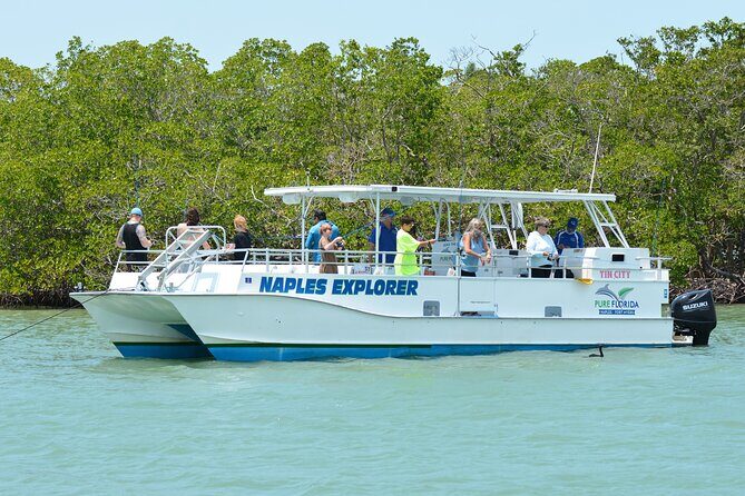 Calm Bay Fishing - The Sum Up