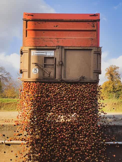 Calvados: the art of making Coquerel Calvados and Normindia Gin - Final Thoughts: The Best of Normandy’s Spirit-Making