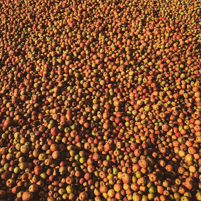 Calvados: the art of making Coquerel Calvados and Normindia Gin - FAQ