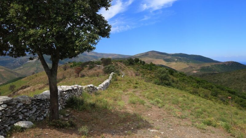 Calvi: Asco Valley 4x4 Day Tour with Guide - Key Points
