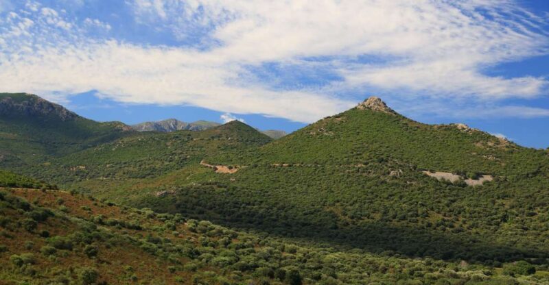 Calvi: Asco Valley 4x4 Day Tour with Guide - Authentic Experiences and Real-World Reviews