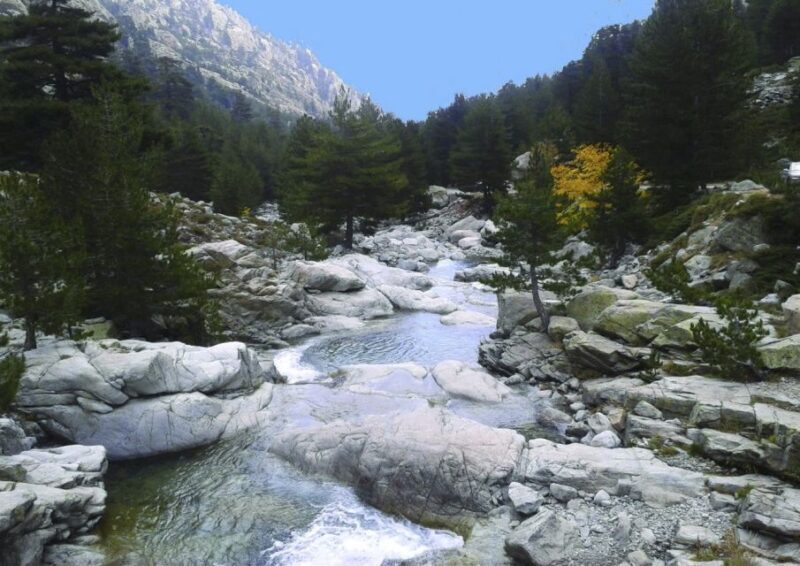 Calvi: Asco Valley 4x4 Day Tour with Guide - Final Thoughts