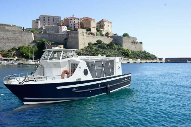 Calvi: guided boat tour for 48 people to Scandola - Key Points