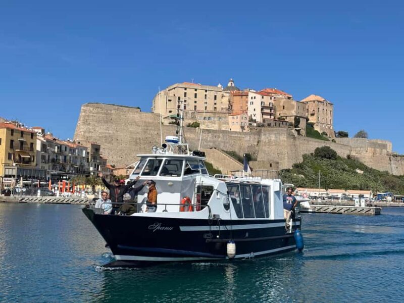 Calvi: guided boat tour for 48 people to Scandola - Deep Dive: Why This Tour Adds Value