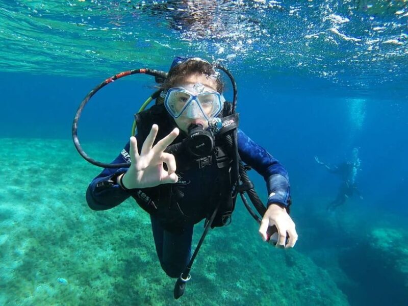 Calvi: Introduction to Diving Dive with an Instructor - Exploring Calvi’s Underwater World: What to Expect