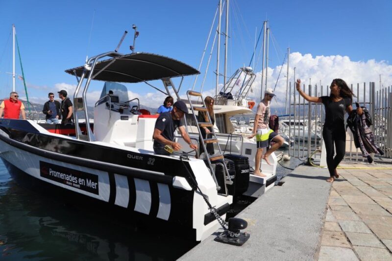 Calvi: Scandola and Piana Guided Boat Tour - Who Will Love This Experience?