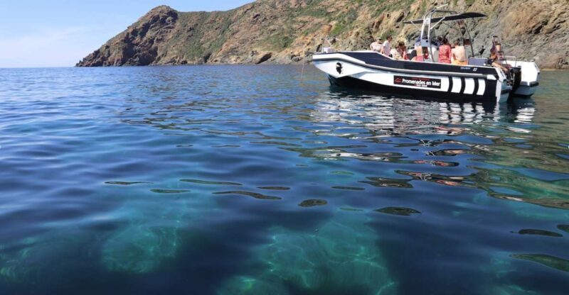Calvi: Scandola and Piana Guided Boat Tour - FAQ