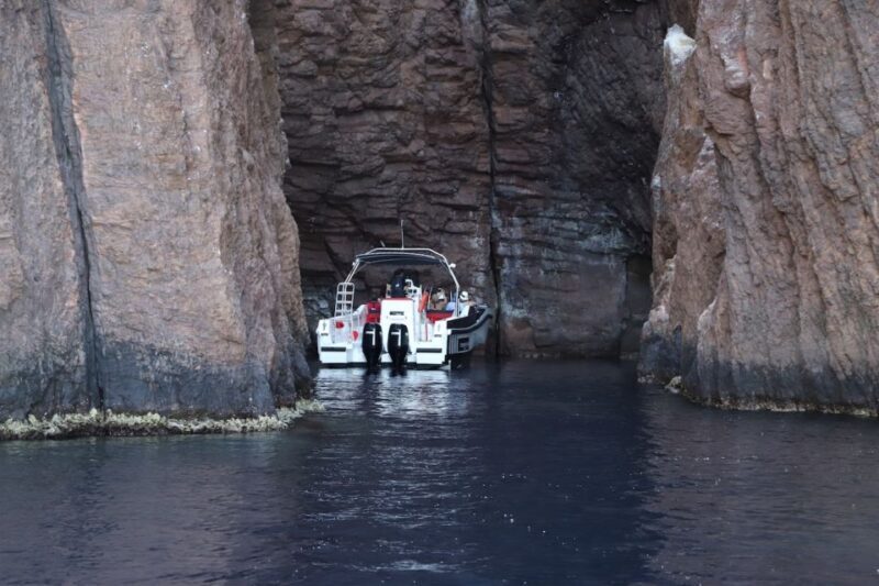 Calvi to Scandola: 4-Hour Boat Tour - Exploring the Caves and Wildlife