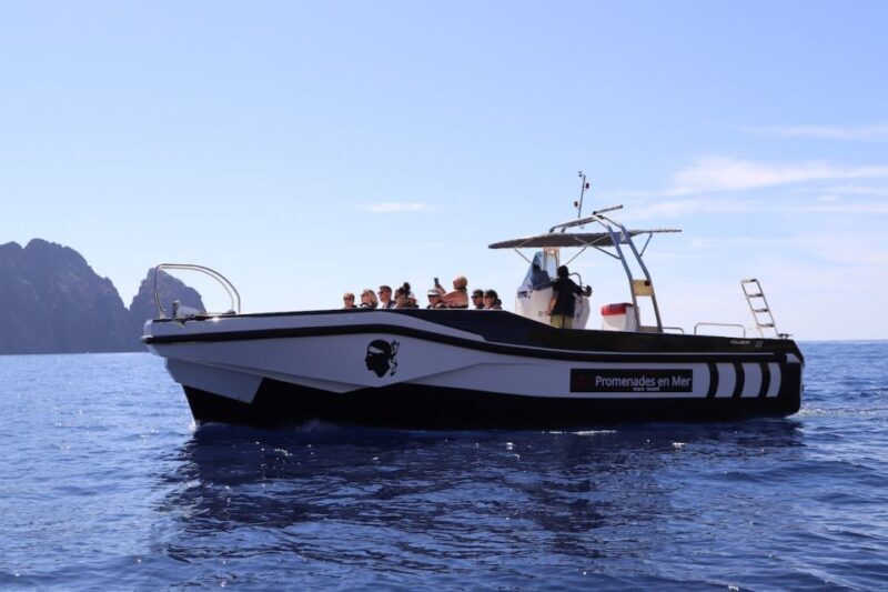 Calvi to Scandola: 4-Hour Boat Tour - Return to Calvi: Reflecting on an Unforgettable Experience